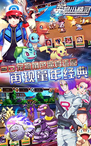 宠物头像马尔济斯犬_宠物图片图片