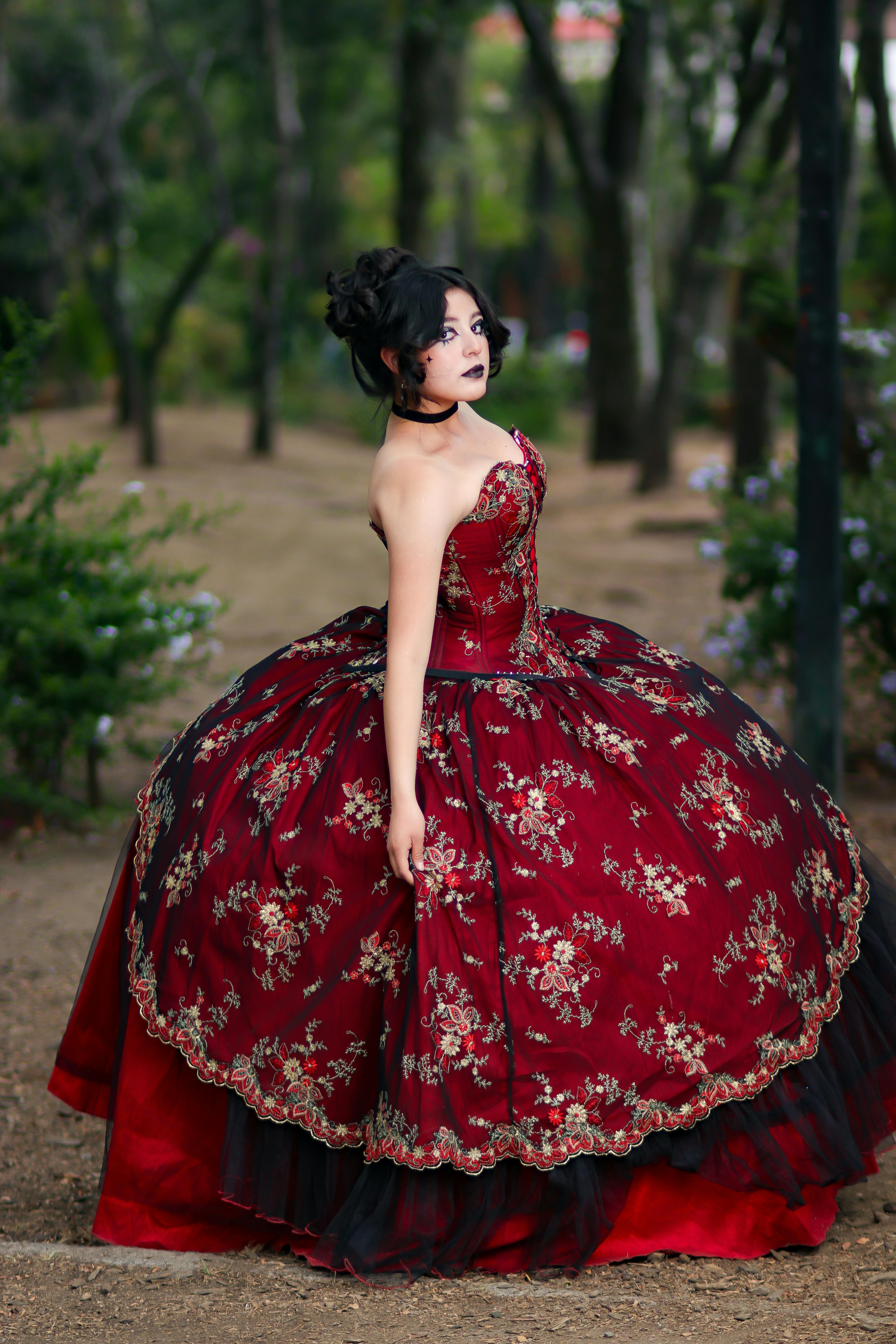 壁纸古风beautiful_苏格兰悬崖上的海鹦俯瞰大海