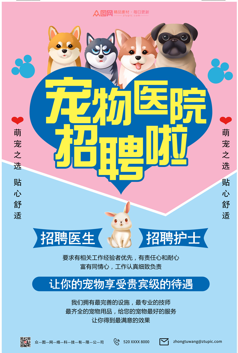 宠物狗CocoDot_宠物图片狗的品种图片大全