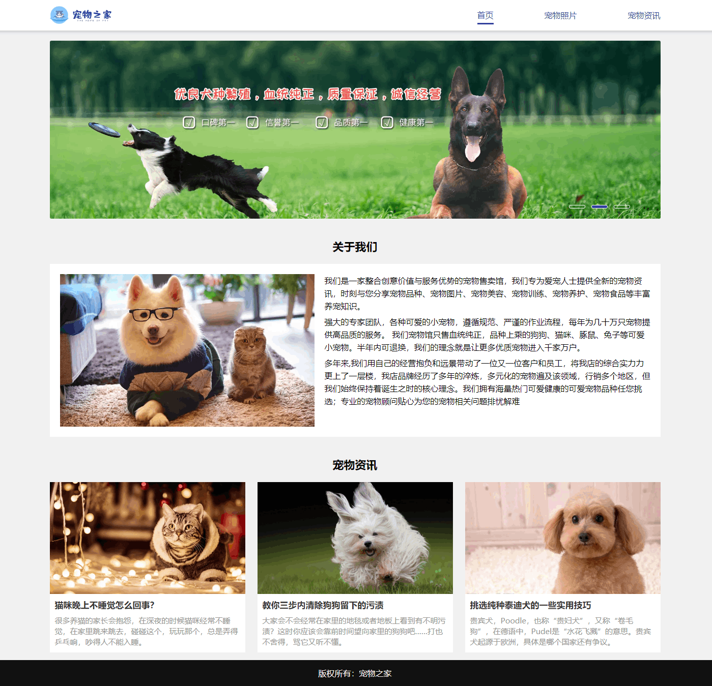 宠物小精灵图鉴Orange_宠物图片狗的品种图片大全