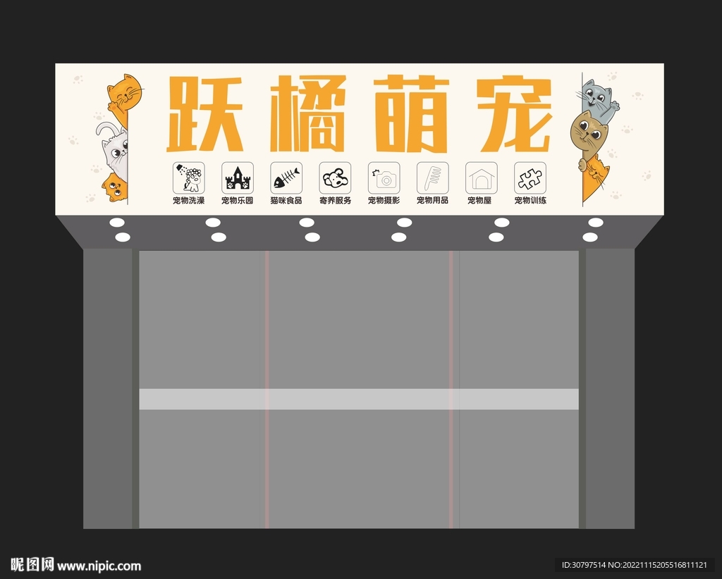 宠物猫的品种图片大全Lab_宠物图片狗狗图片品种大全