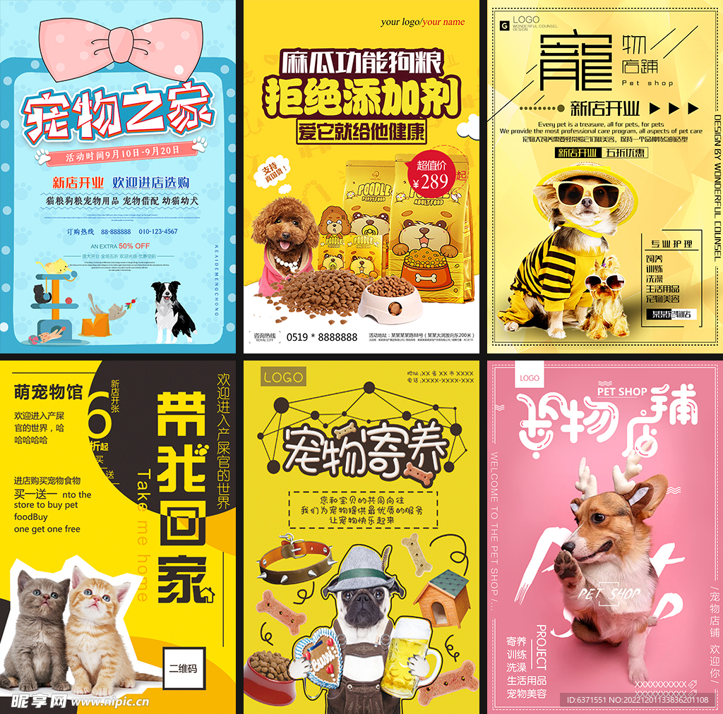 宠物狗猫猫_宠物图片小精灵图鉴