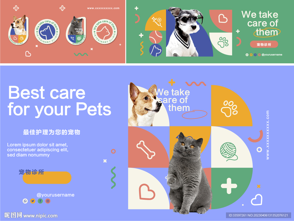 宠物小精灵图鉴Animals_宠物图片蛇