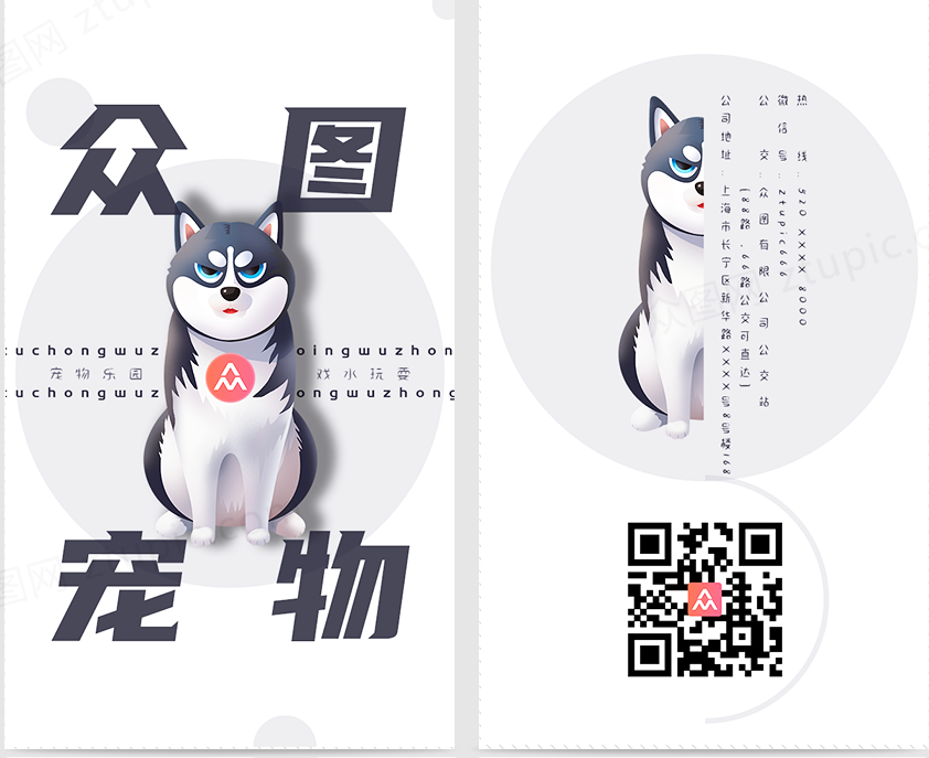 宠物猫全部_宠物图片蛇