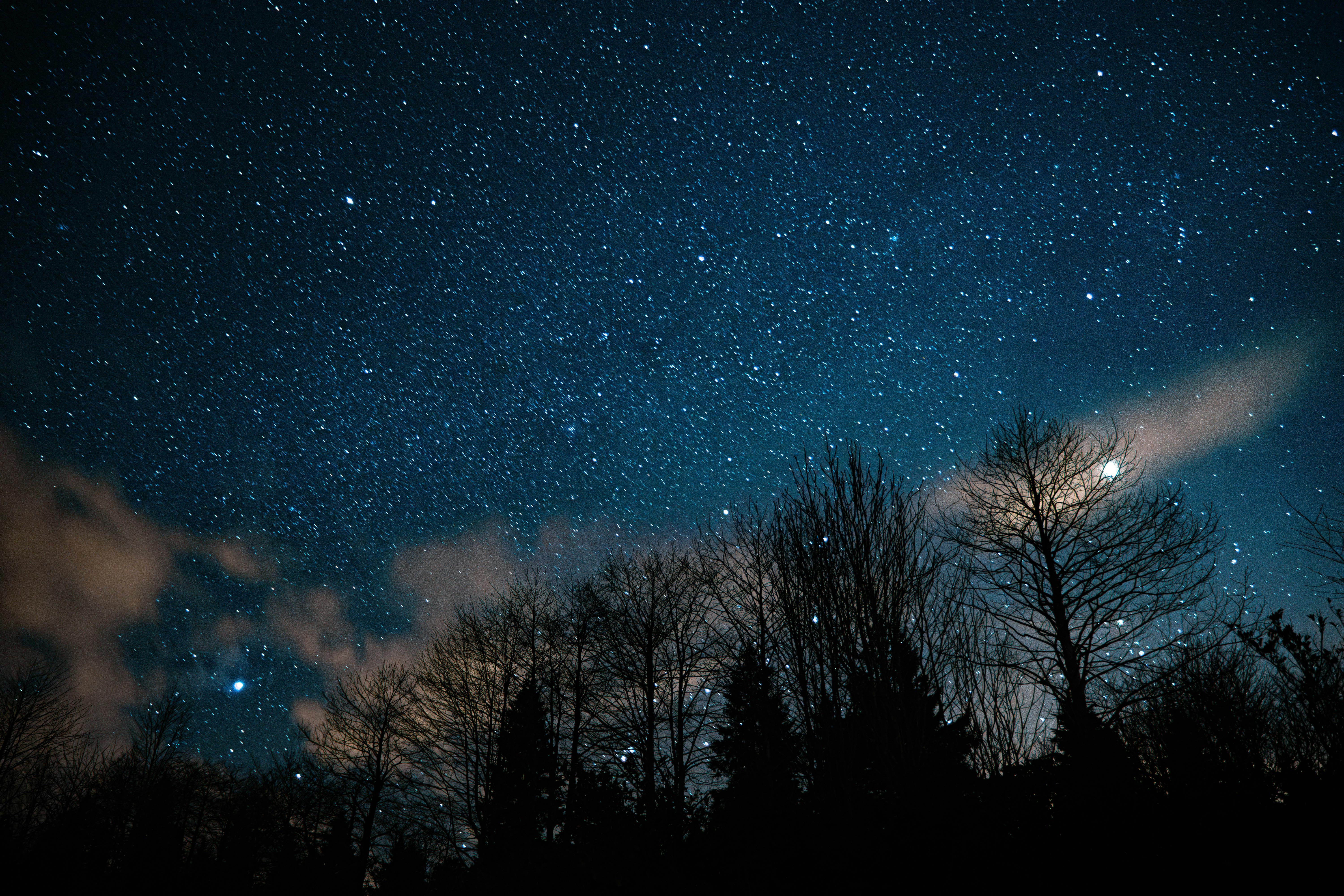 壁纸高清宇宙_繁星点点的夜空，树木剪影