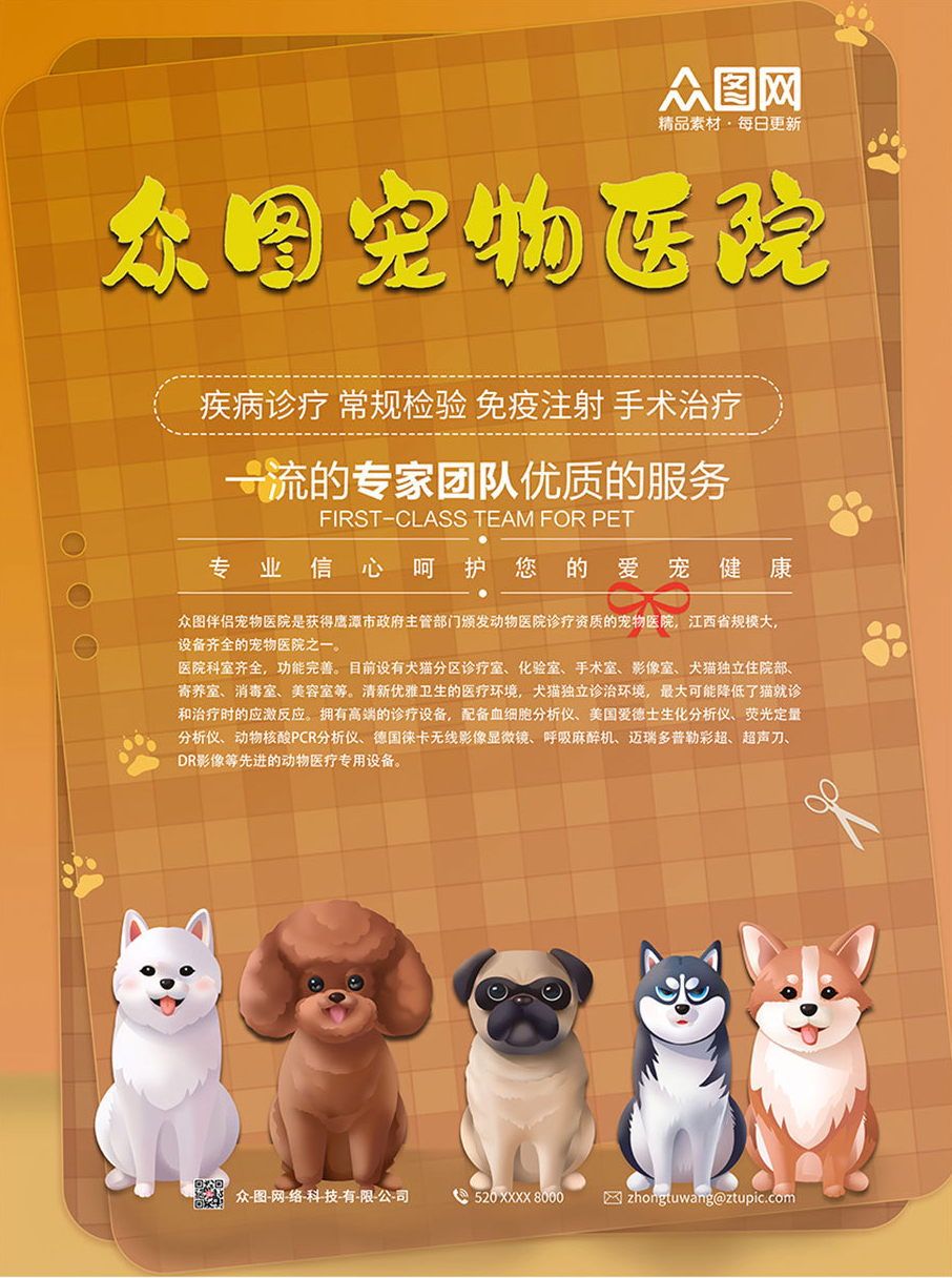宠物头像电脑背景图_宠物图片狗
