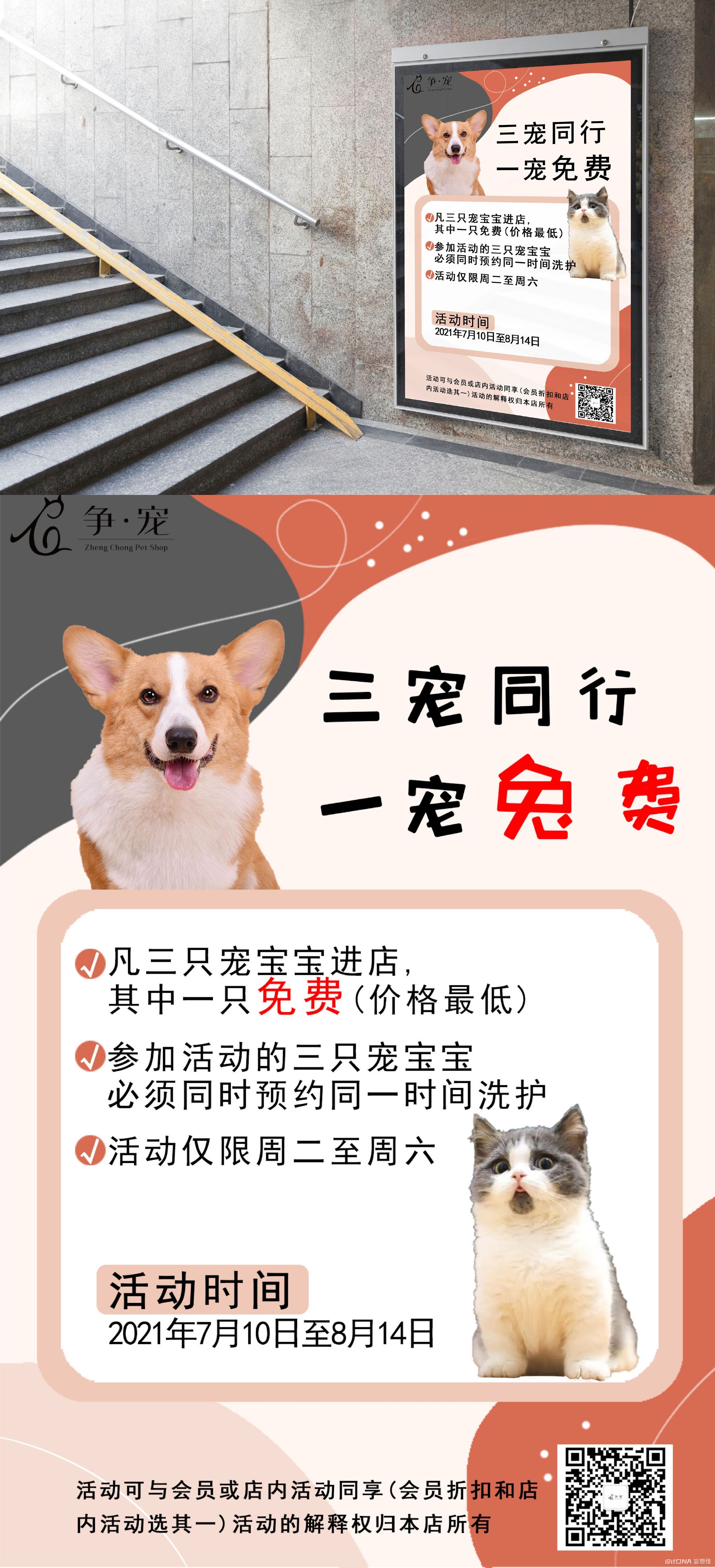 宠物猫的品种图片大全Ai_宠物图片蛇