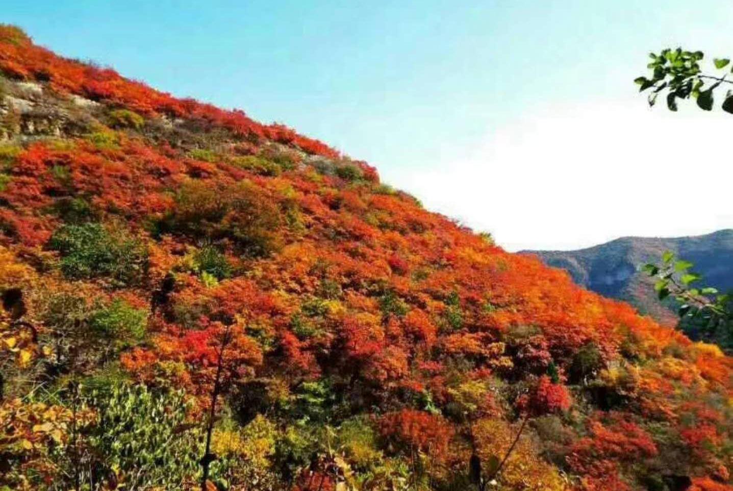 美景图片大全自然景象海边_美景图片高清大图真实